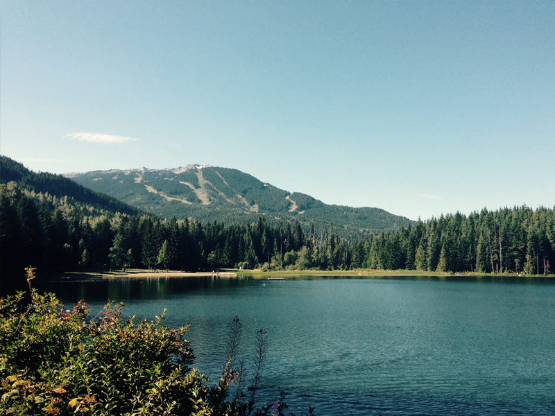 Forest & Lake Forest & Lake